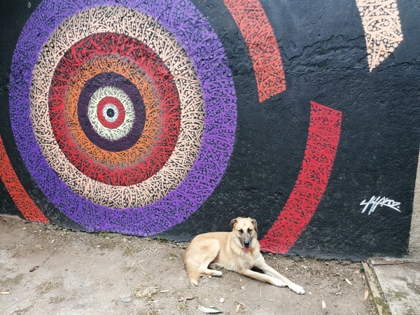 grafdog2
