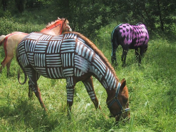 poneys